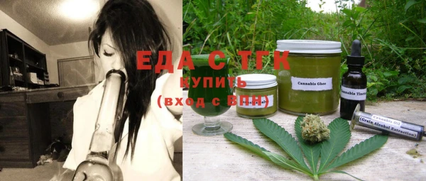 индика Галич