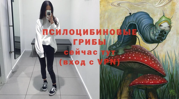 mix Грязовец