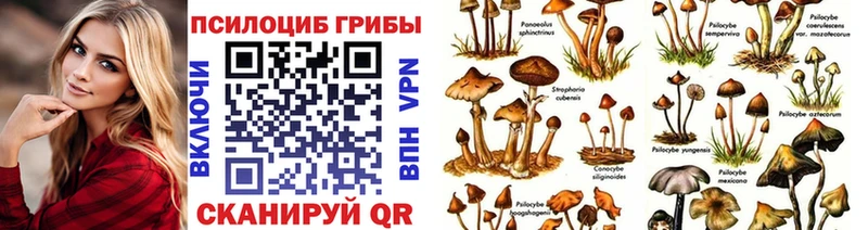 Псилоцибиновые грибы Cubensis MEGA ONION Заозёрск магазин продажи